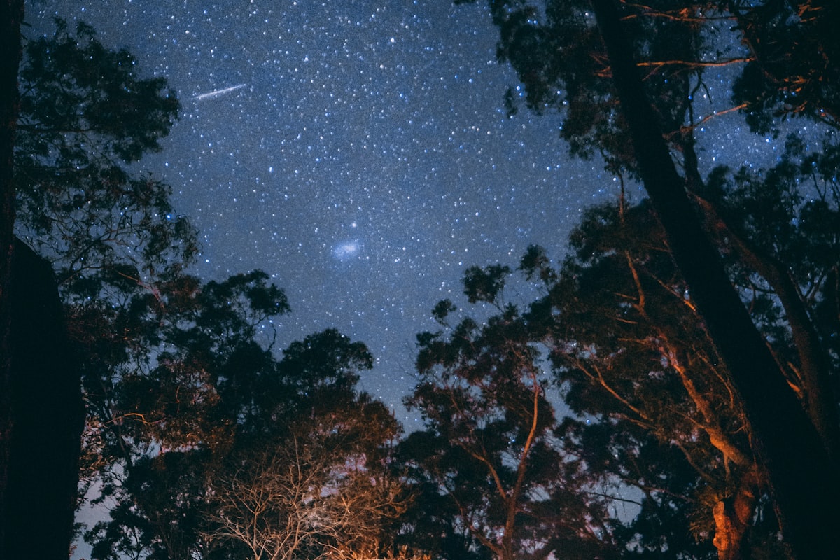 家庭用户在森林中使用必威露营装备享受星空夜晚的温馨场景
